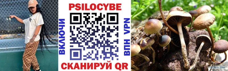 Купить  Сатка  Галлюциногенные грибы Magic Shrooms 