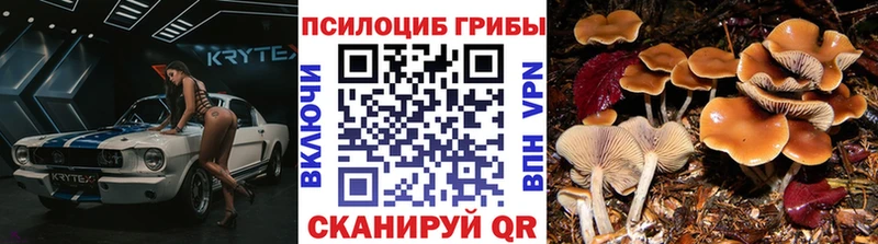 Галлюциногенные грибы GOLDEN TEACHER Сатка